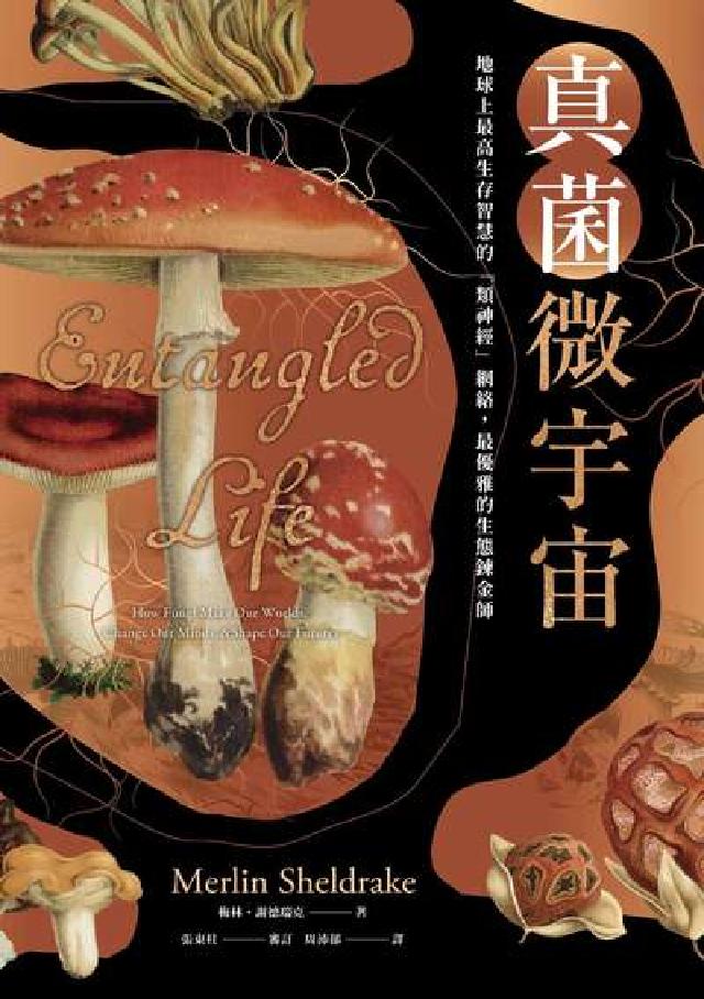 HyRead 真菌微宇宙:地球上最高生存智慧的「類神經」網絡,最優雅(電子書)