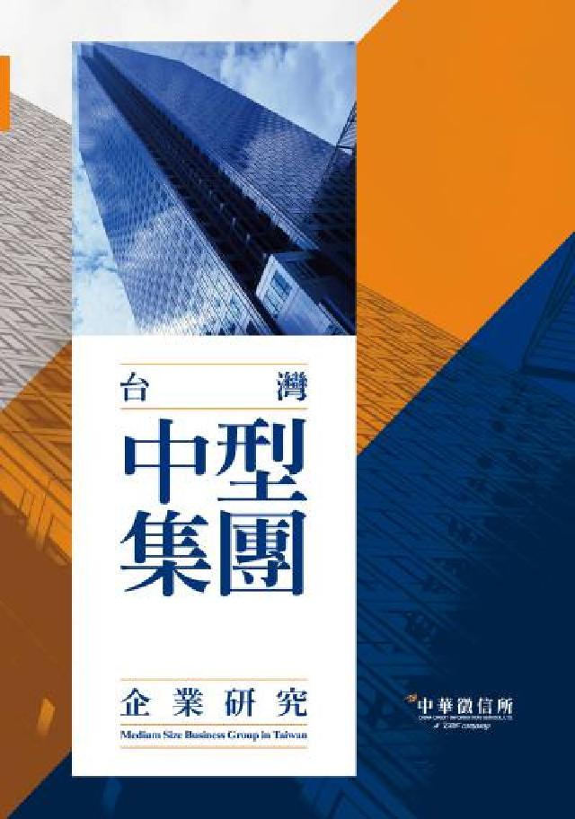 HyRead 台灣中型集團企業研究. 2019年版(電子書)