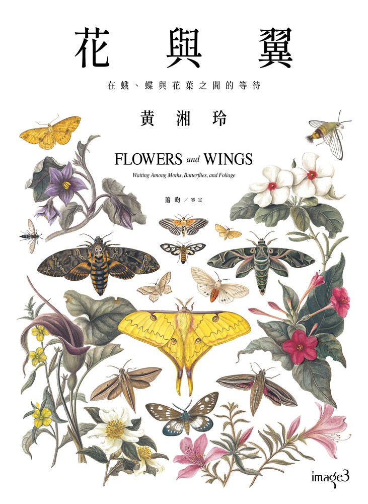 Pubu 花與翼:在蛾、蝶與花葉之間的等待