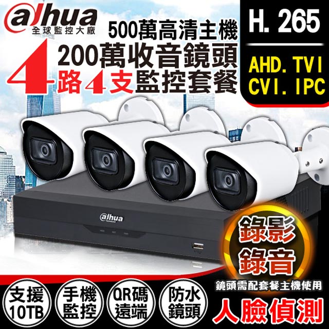 Dahua 大華 【帝網KingNet】  監視器套餐 安防 錄影錄音（其他規格）