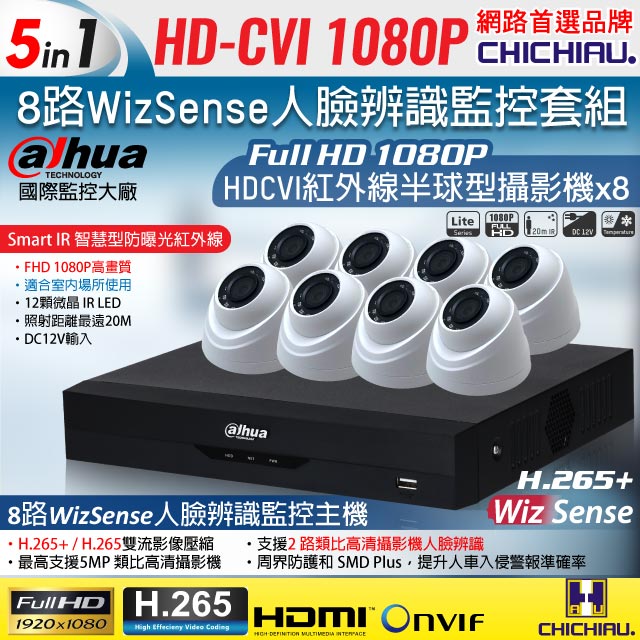 CHICHIAU 奇巧 Dahua大華 H.265 5MP 8路CVI 1080P數位遠端監控套組(含200萬紅外線半球型攝影機x8)（其他規格）