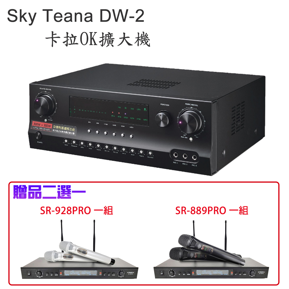 Sky Teana DW-2 大功率 卡拉OK擴大機 輸出功率300W