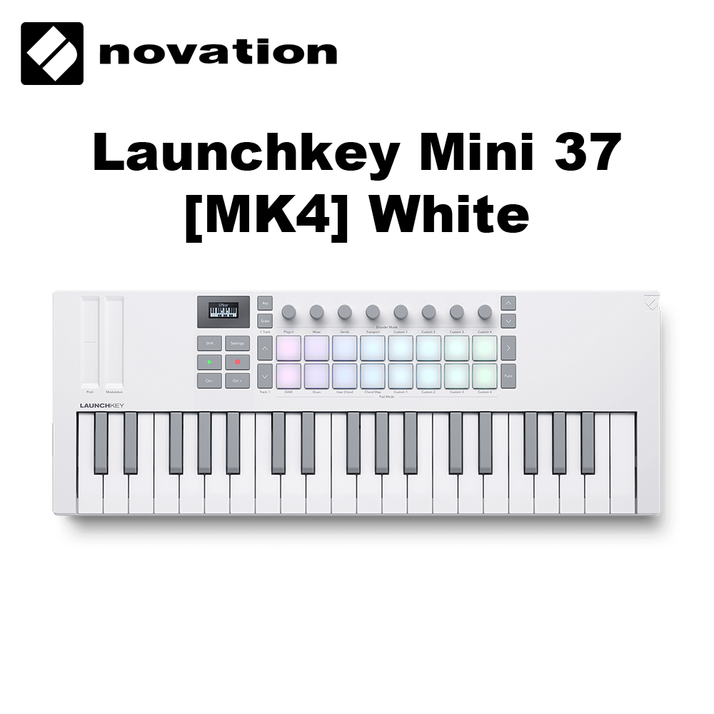 Novation Launchkey Mini 37 [MK4] White 主控鍵盤 公司貨 白色