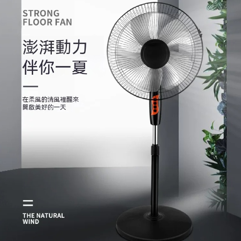 110V 美規壁扇 可搖頭落地扇 美國台灣家用掛扇 靜音大風力電風扇 出國船舶專用