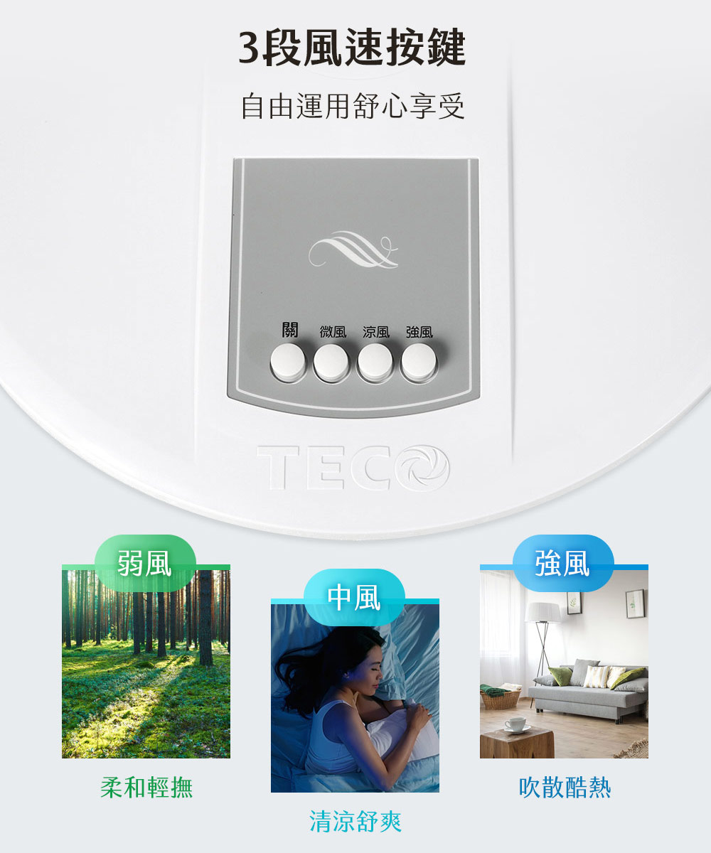 TECO 東元14吋機械式立扇/風扇XYFXA1428 - PChome 24h購物