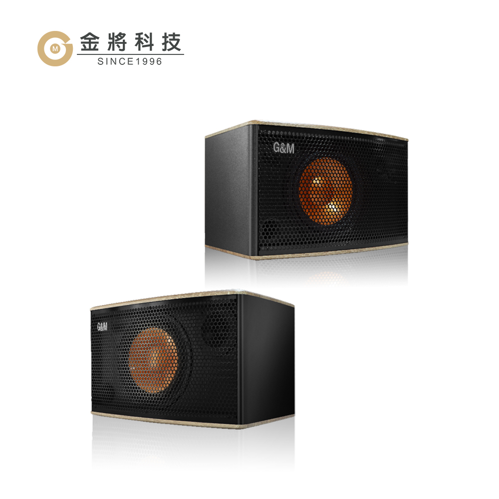 金將科技 G&M PA808卡拉OK懸吊式喇叭