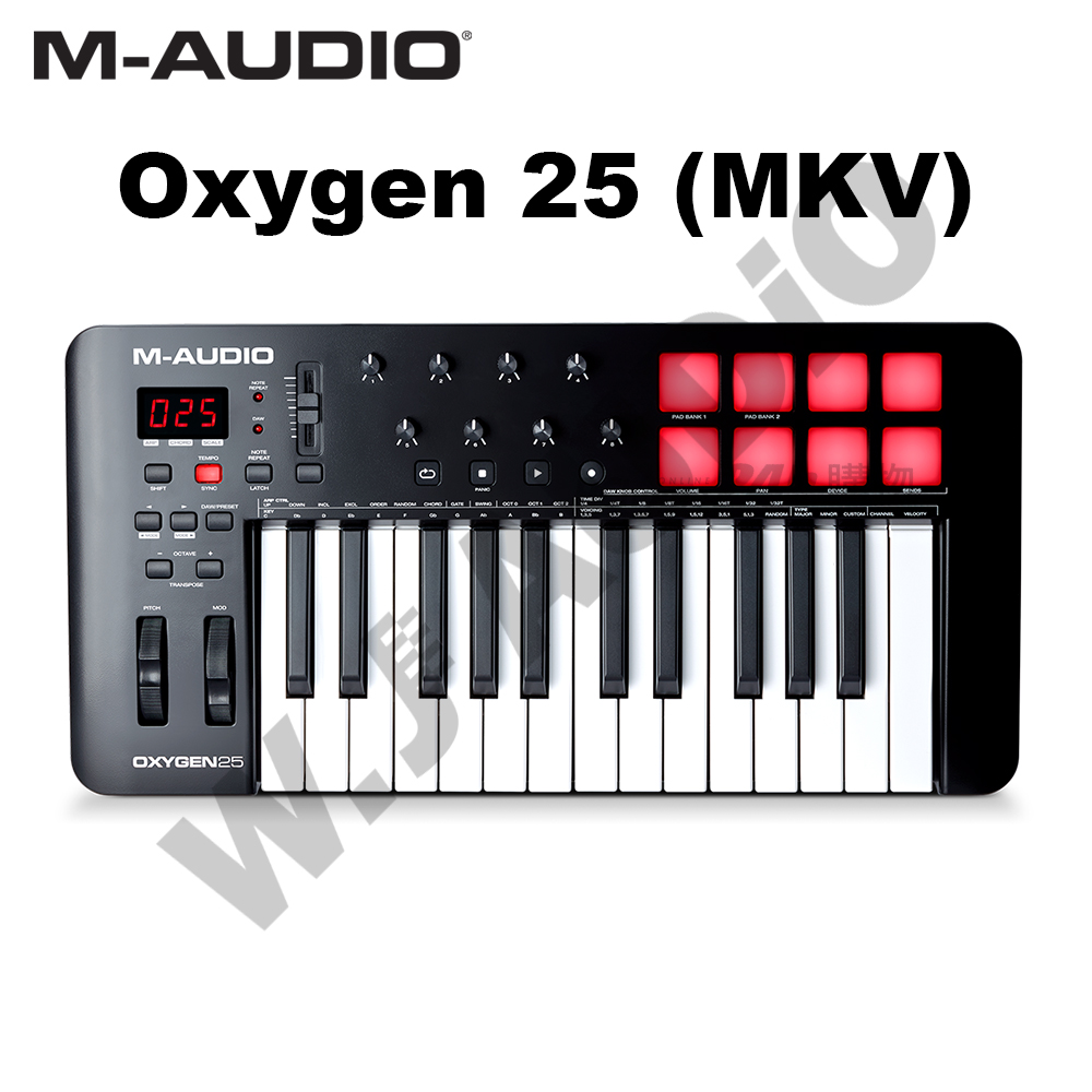 M-AUDIO  OXYGEN 25 MK V MIDI 主控鍵盤 第五代 公司貨