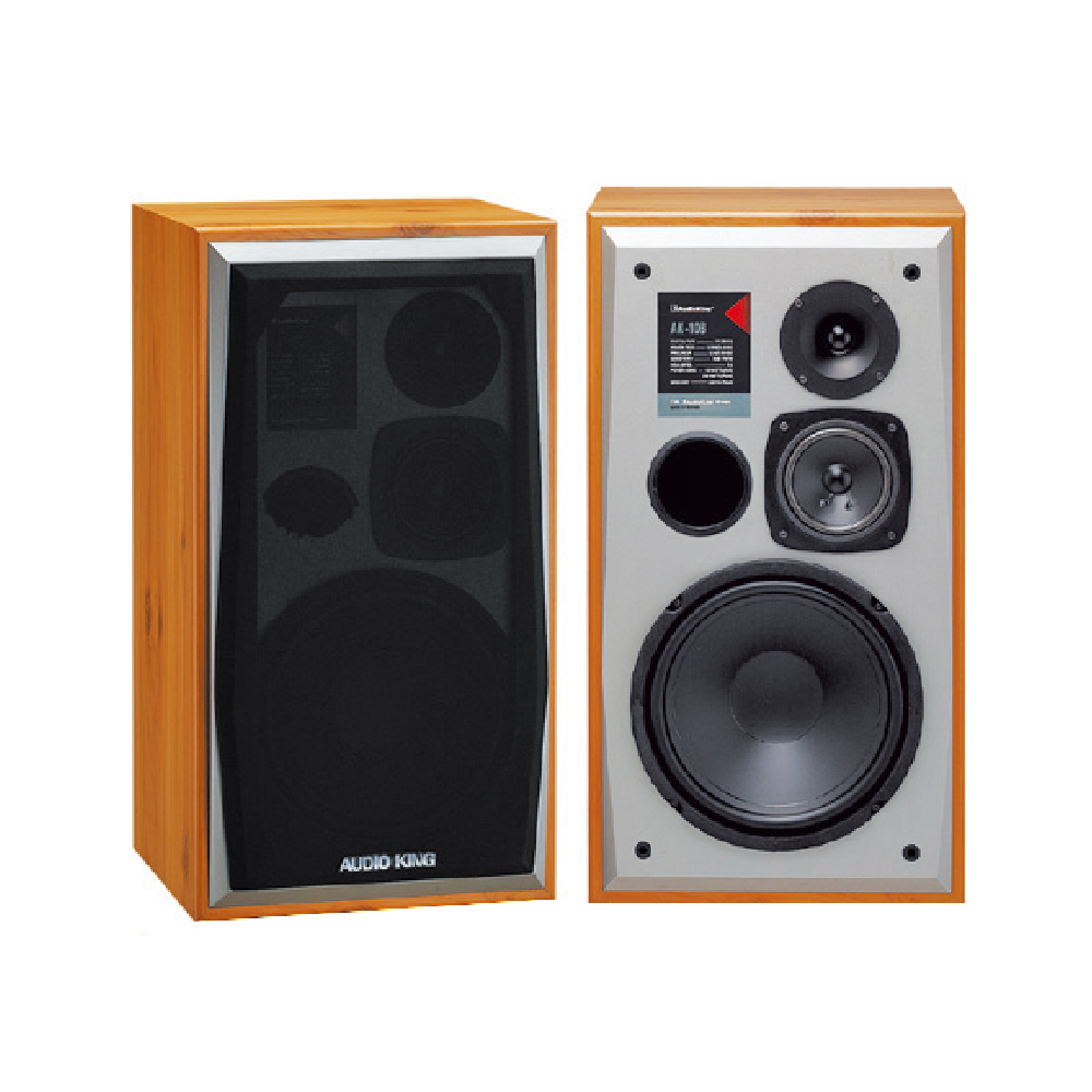 Audio King AK-1001台灣撼聲桌上型卡拉OK歌唱喇叭