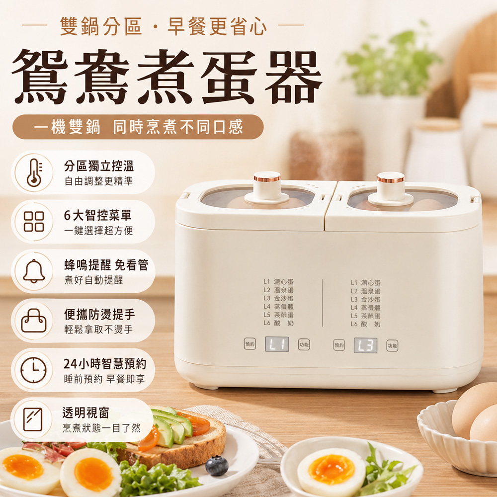 Rtako 雙槽煮蛋器 蒸蛋羹機 煮溫泉蛋機 早餐機 水煮蛋機 預約定時 分區控溫