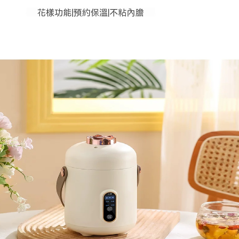 110v電燉鍋 多功能燉鍋  家用燉燕窩專用 隔水燉盅 辦公室玻璃鍋 電燉盅 燉煮鍋 陶瓷釉燉煮鍋