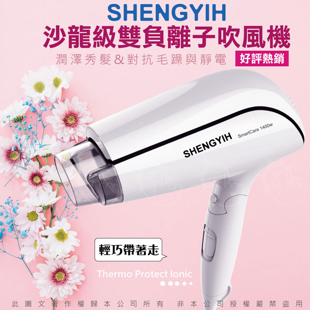【SY】沙龍級雙負離子吹風機
