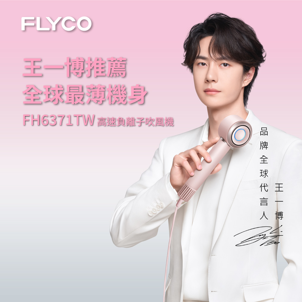 FLYCO 飛科 高速負離子吹風機(FH6371TW)（其他規格）