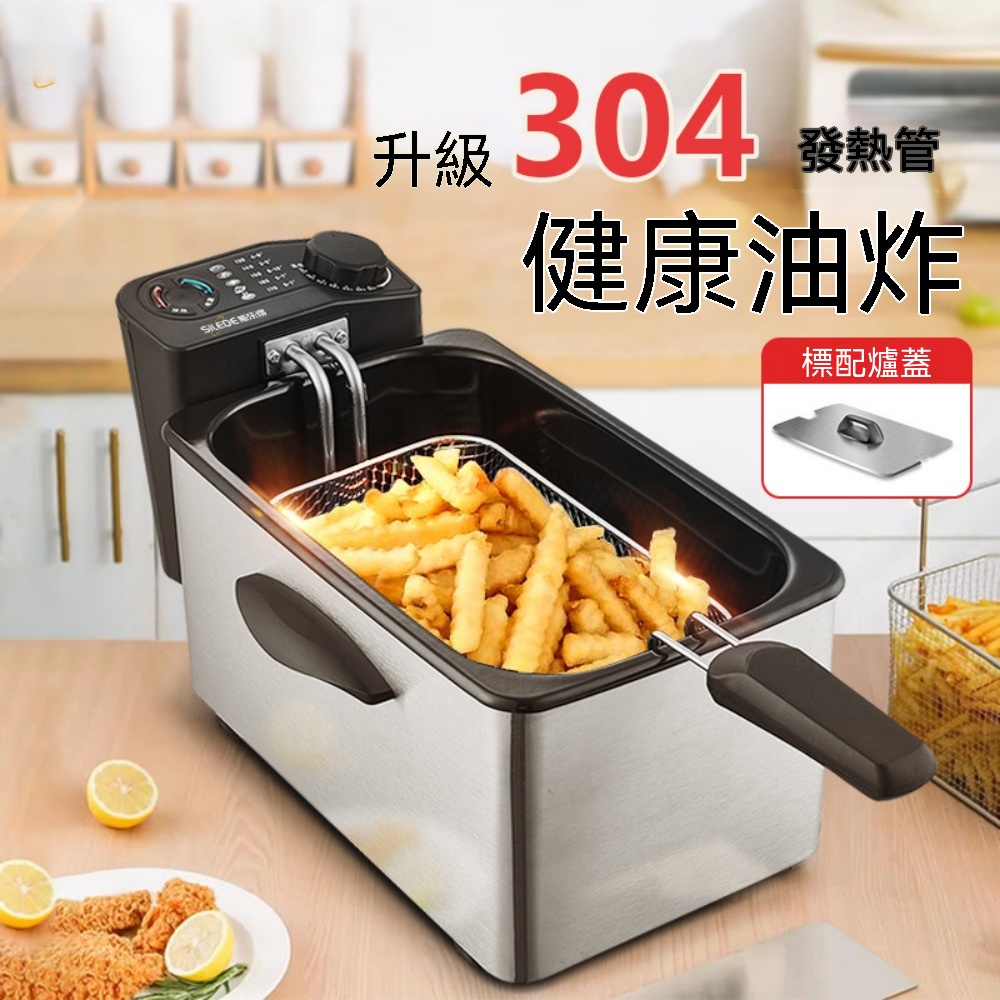 110V電炸鍋 油炸機 家用炸鍋 可瀝油炸籃 小型不銹鋼油炸鍋  304 發熱管油炸機 電炸爐 附蓋防濺油炸鍋