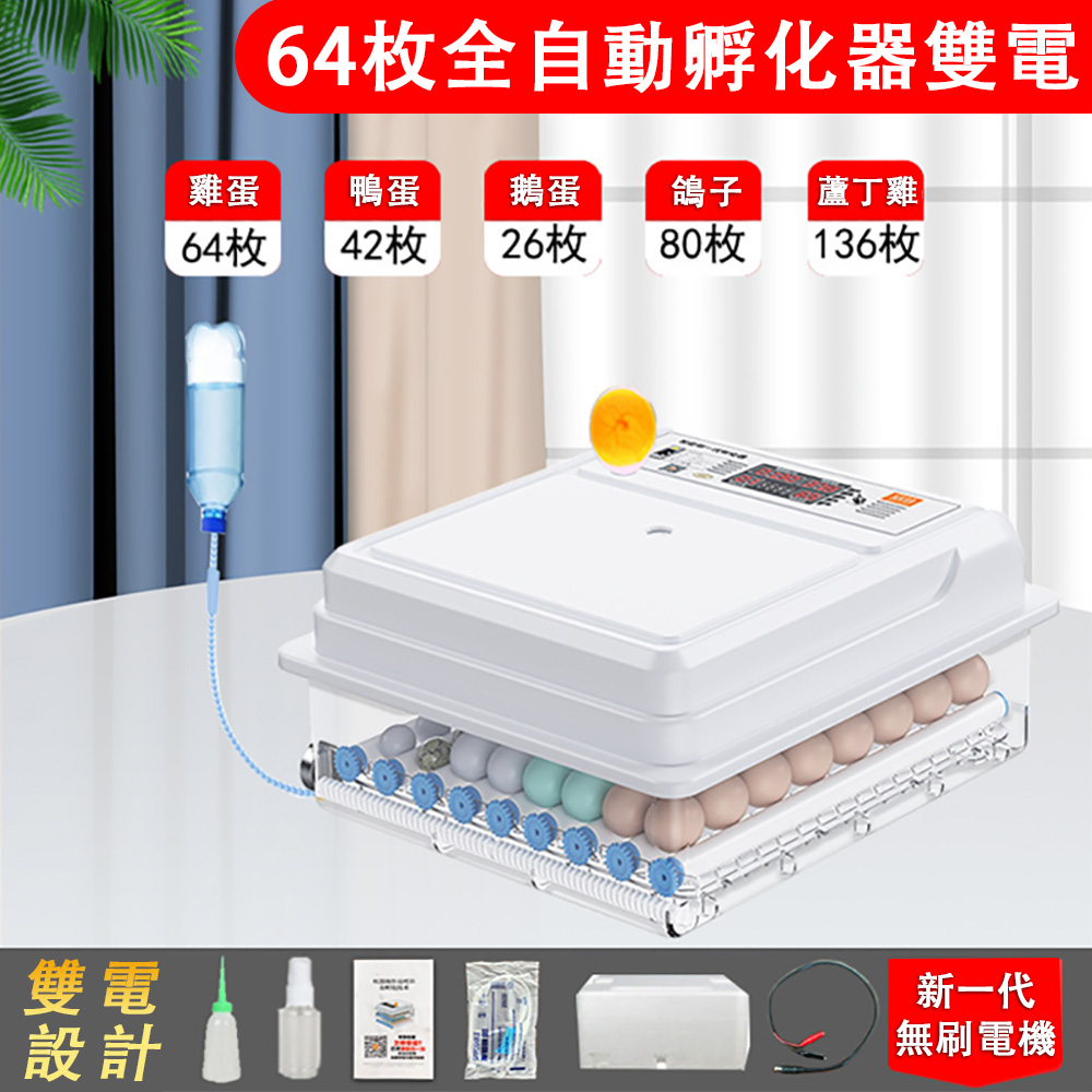 64 枚全自動雙電孵化器新代無刷馬達自動翻蛋恆溫恆濕自動加水內建照蛋燈兼容雞鴨鵝鴿蘆丁雞家用孵蛋機