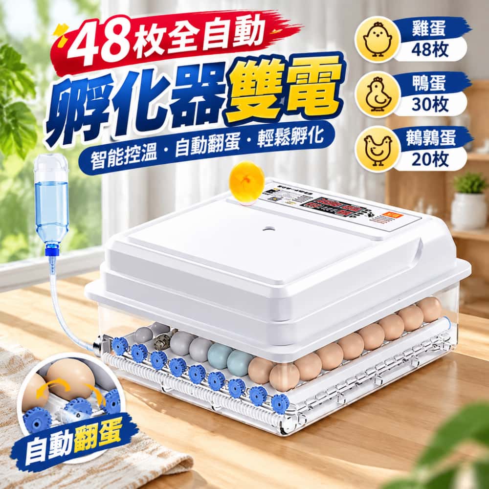 全自動孵化器 孵蛋器 孵化機 全自動孵蛋機 孵化箱 家用孵化器 智能孵化箱 家用孵蛋器 孵蛋機48 枚