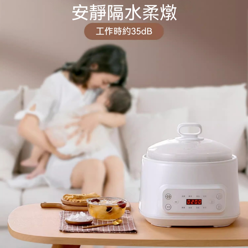 電燉鍋 家用電燉煲 煲湯鍋 煮粥鍋 慢燉鍋 陶瓷內膽鍋 隔水燉盅 電蒸料理鍋 110V