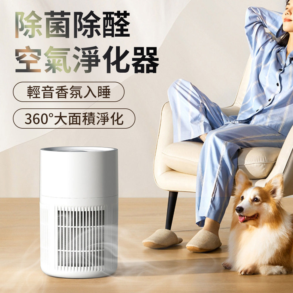 QLZHS 家用空氣淨化器 迷你香薰機 除臭淨化器 便捷式清淨機 空氣清淨機(除甲醛/除病毒/除細菌)母親節禮物