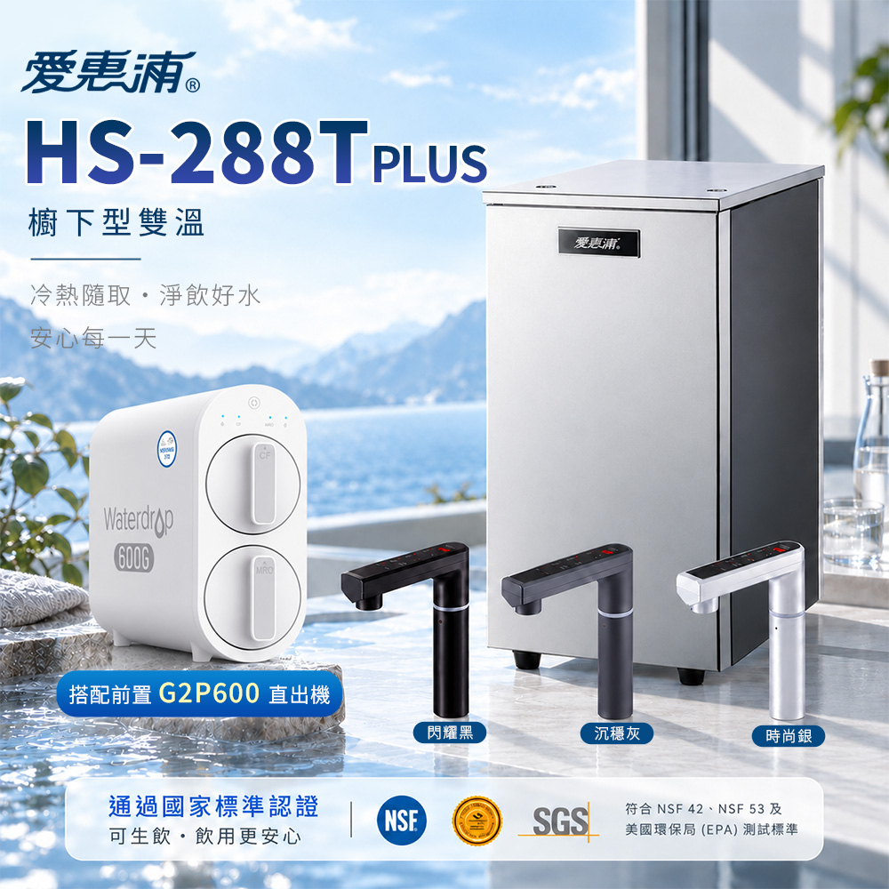 EVERPURE 愛惠浦 廚下雙溫飲水機HS288T PLUS+前置 G2P600 直出機 觸控熱飲機 含基本安裝 加熱器 調溫 觸控