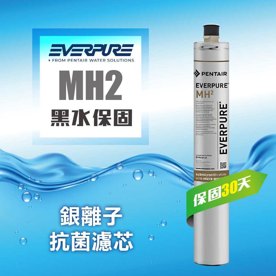 EVERPURE 愛惠浦 MH2銀離子抗菌濾心【MH2平行輸入濾芯】黑水保固30天