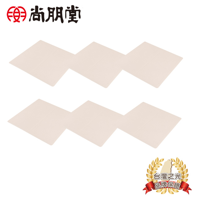 尚朋堂 不鏽鋼乾果機專用細格網SFD-82(6入)