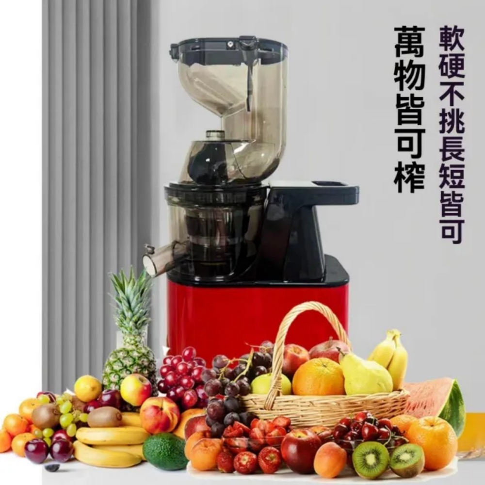 榨汁機 原汁機 渣汁分離 榨汁網+冰淇淋網（破壁機/調理機/果汁機）