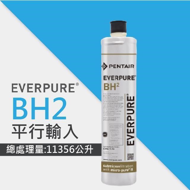 EVERPURE BH2活性碳濾芯/BH-2平行輸入濾芯