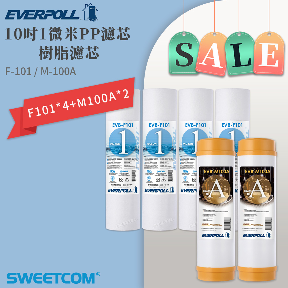 EVERPOLL 愛科濾淨 原廠 EVB-F101×4支+EVB-M100A×2支(6入)10吋 PP濾心 樹脂濾心 通規 濾芯
