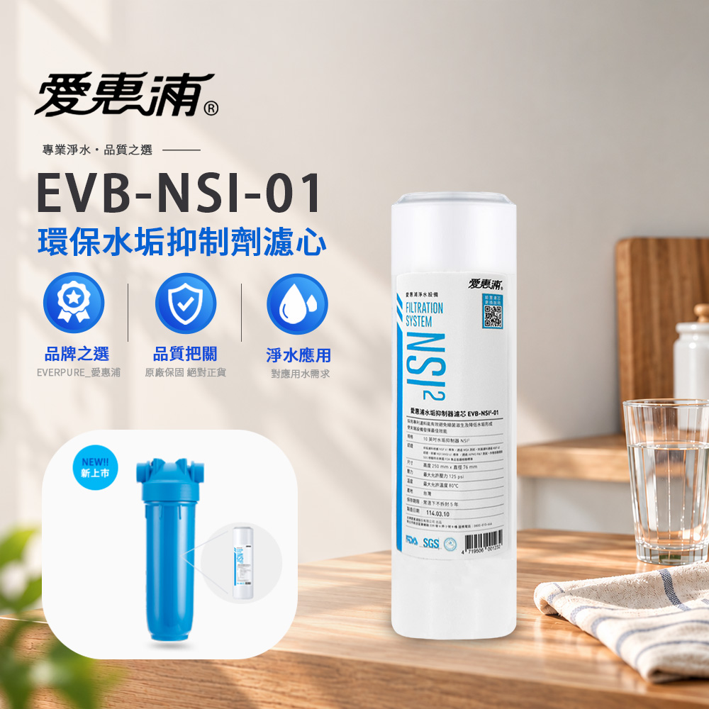 EVERPURE 愛惠浦 EVBNSI01專利抑垢抗菌濾心 保護熱水器 洗碗機 降低水垢