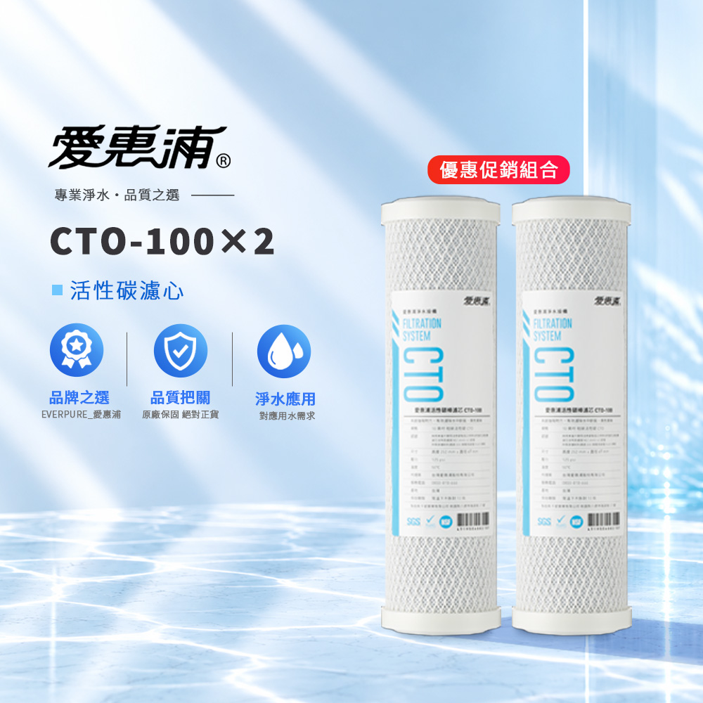 EVERPURE 愛惠浦 CTO-100活性碳棒濾心×2 優惠組合濾芯 濾心