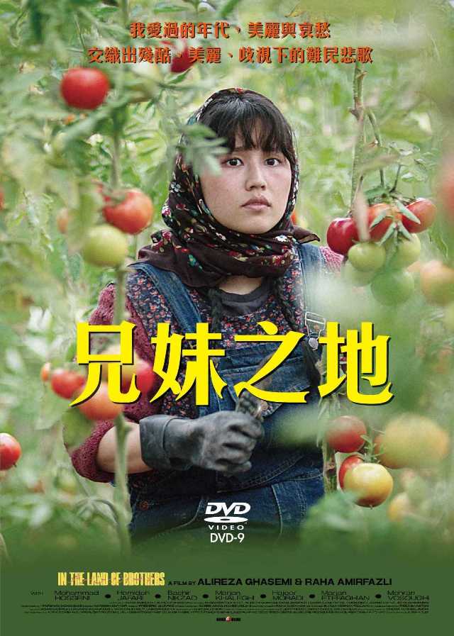 兄妹之地 DVD