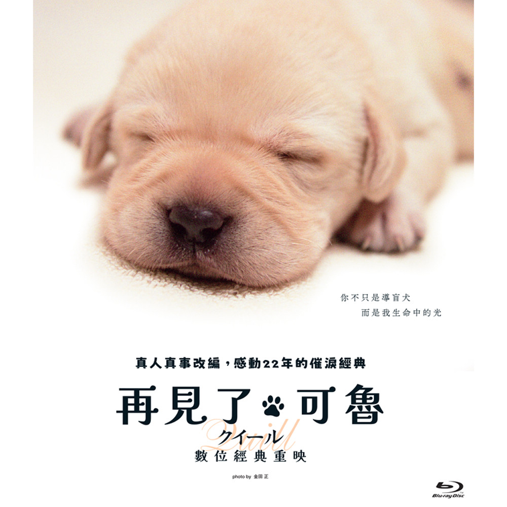 再見了,可魯:數位經典重映 BD