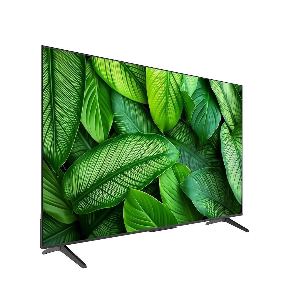 SKYWORTH 創維 65型 4K Google TV聯網顯示器 65G6500H-含標準安裝