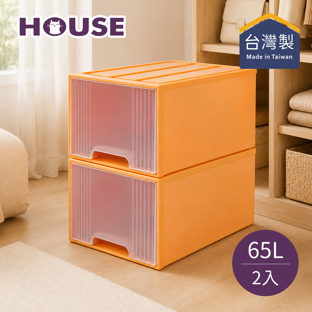 HOUSE 好室喵大桔子65L置物箱-2入- PChome 24h購物