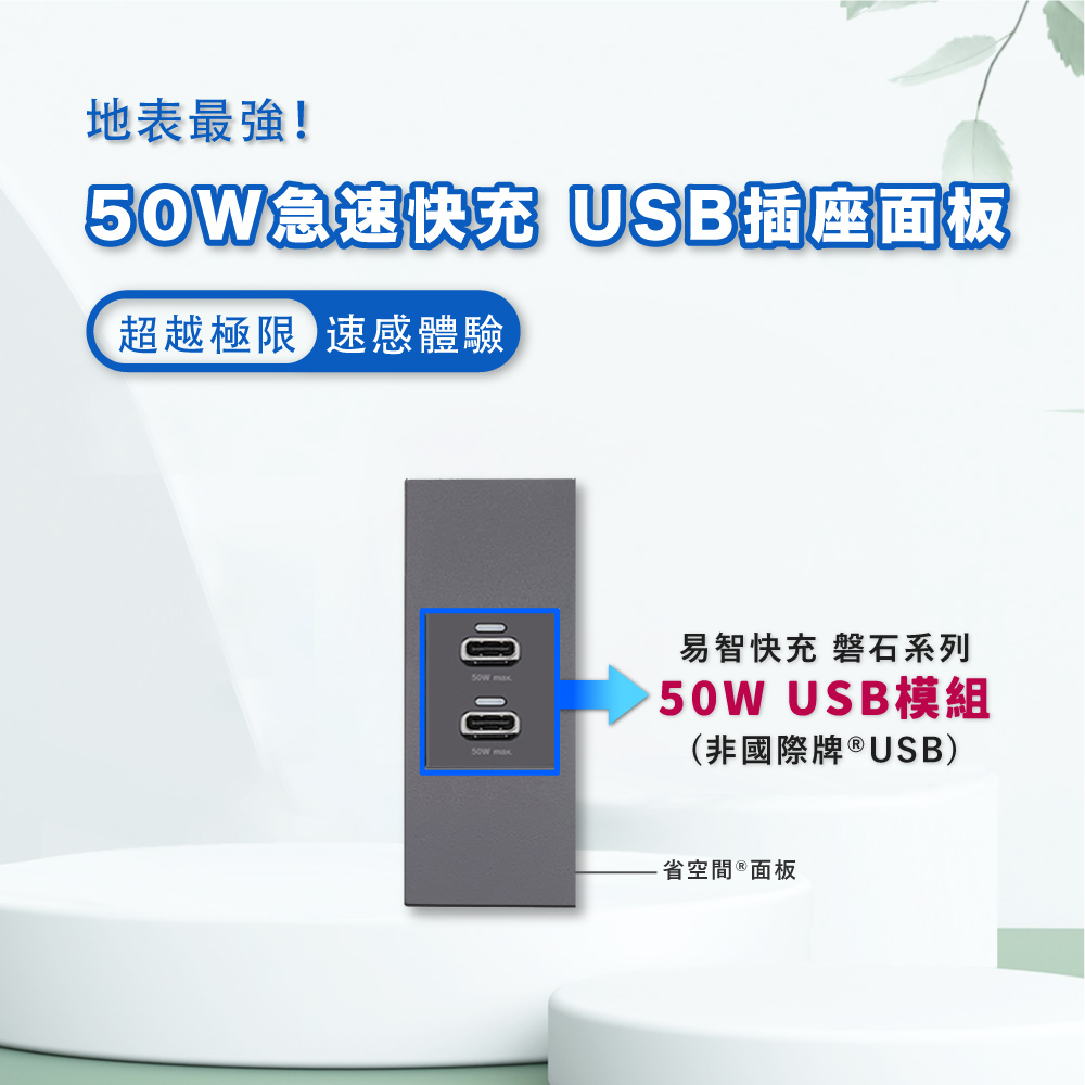 EZ CHARGER 易智快充   省空間一孔灰色面板-磐石50W USB(C+C)