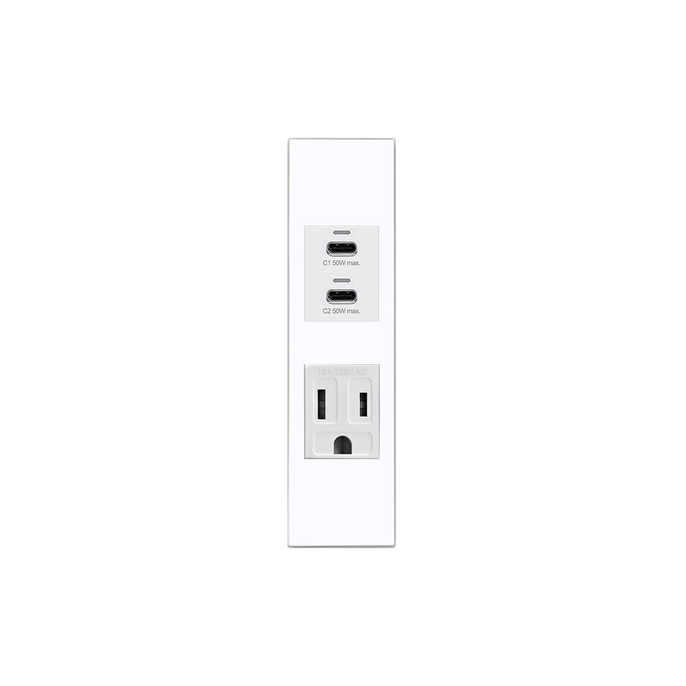 EZ CHARGER 易智快充 國際牌(R)Panasonic(R)省空間二孔白色面板-磐石50W USB(C+C)+磐石AC安全插座