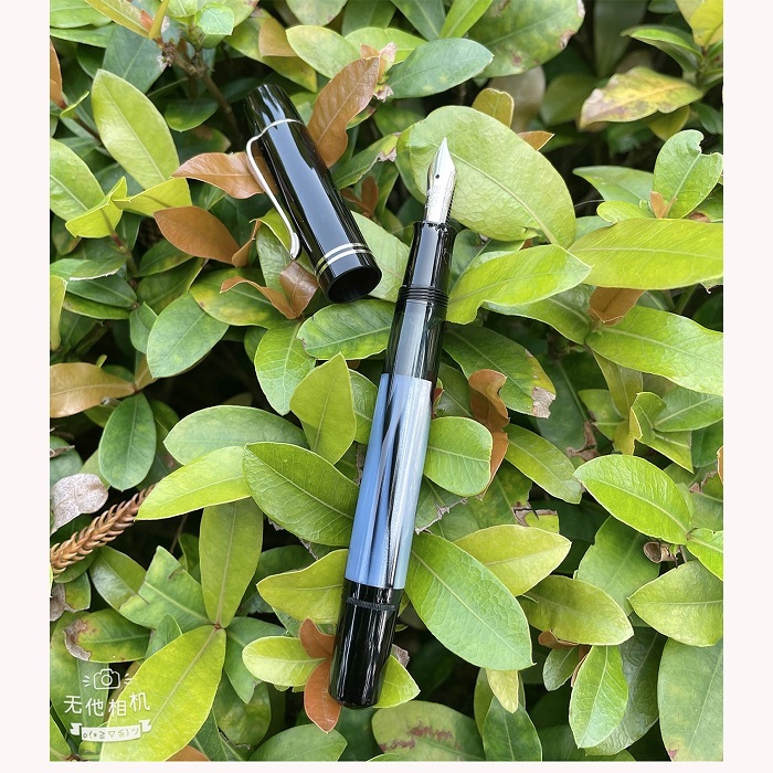 Pelikan M101n Grey Blue Pelikan M101 Pelikan 百利金德國M101N GREY