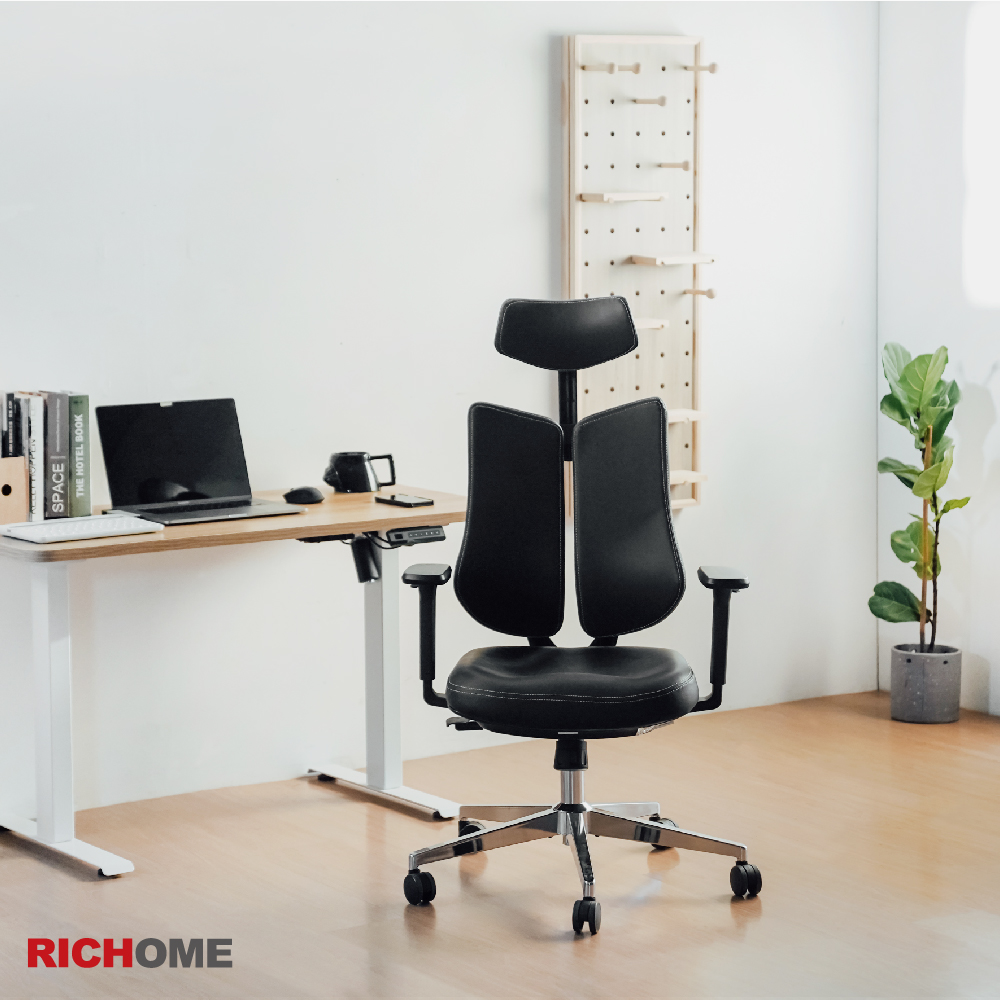 RICHOME 查里曼雙背人體工學椅
