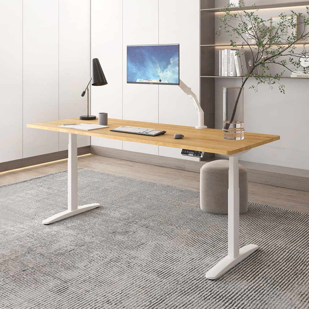 Flexispot 【升級款】三節式磁吸式 電動升降桌 120*60桌組*自行安裝*