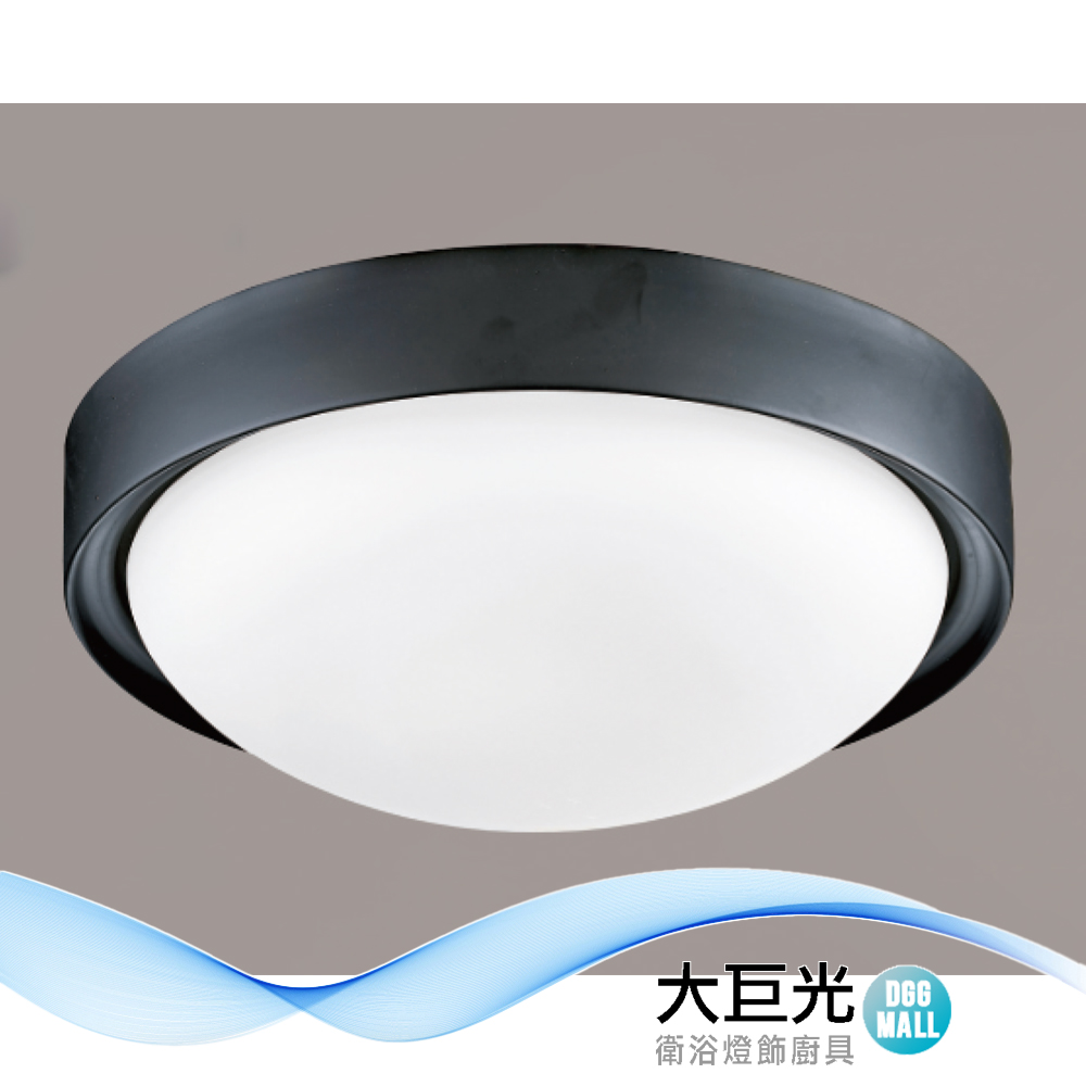 大巨光 簡約風E27 2燈 吸頂燈-小(LW-12-3901)金屬烤漆、白玉玻璃