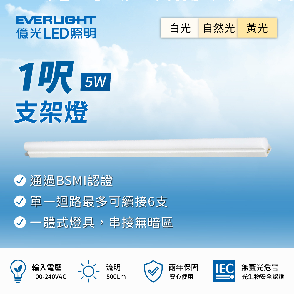 EVERLIGHT 億光 彩盒支架燈 5W 附串接線 (10入組)