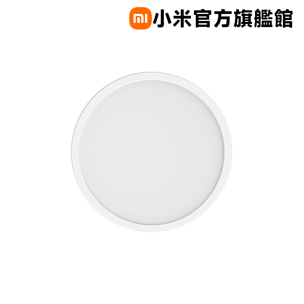 吸頂燈 D20