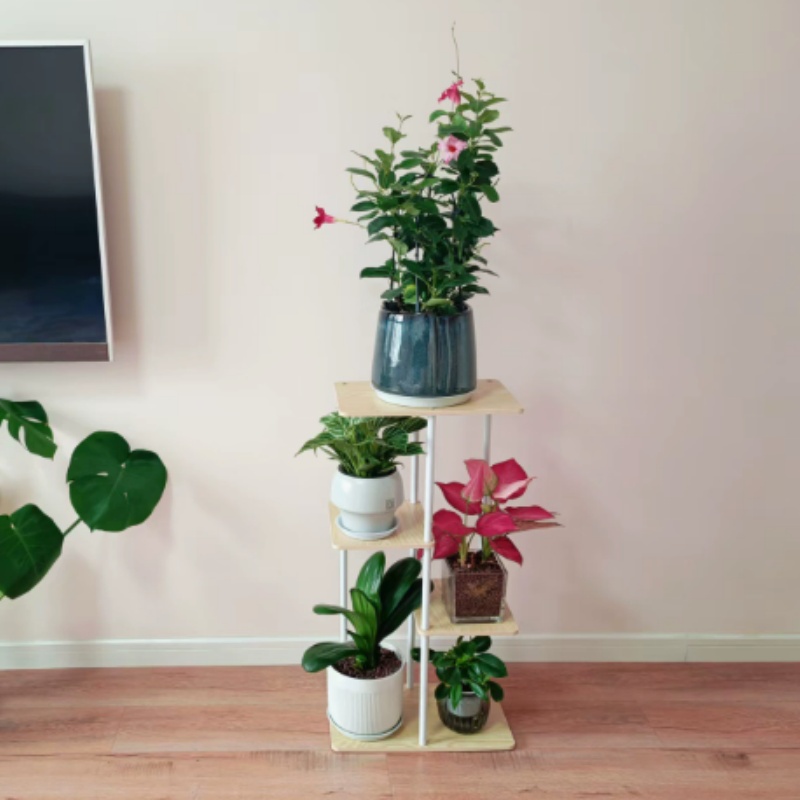 【暢麥】室内花盆 置物架 花架 植物架 客厅落地式 鲜花绿植盆栽 置放架 h
