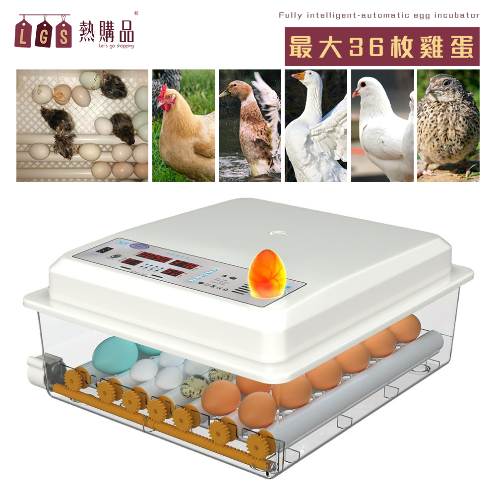 LGS熱購品 36枚雙電款不怕停電 各種家禽均可使用
