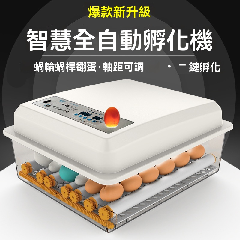 XINWEIDA /新偉達 110V家用智能孵化器 小雞孵蛋器 小型家用孵化機 全自動智能雞鴨鵝鴿孵蛋機