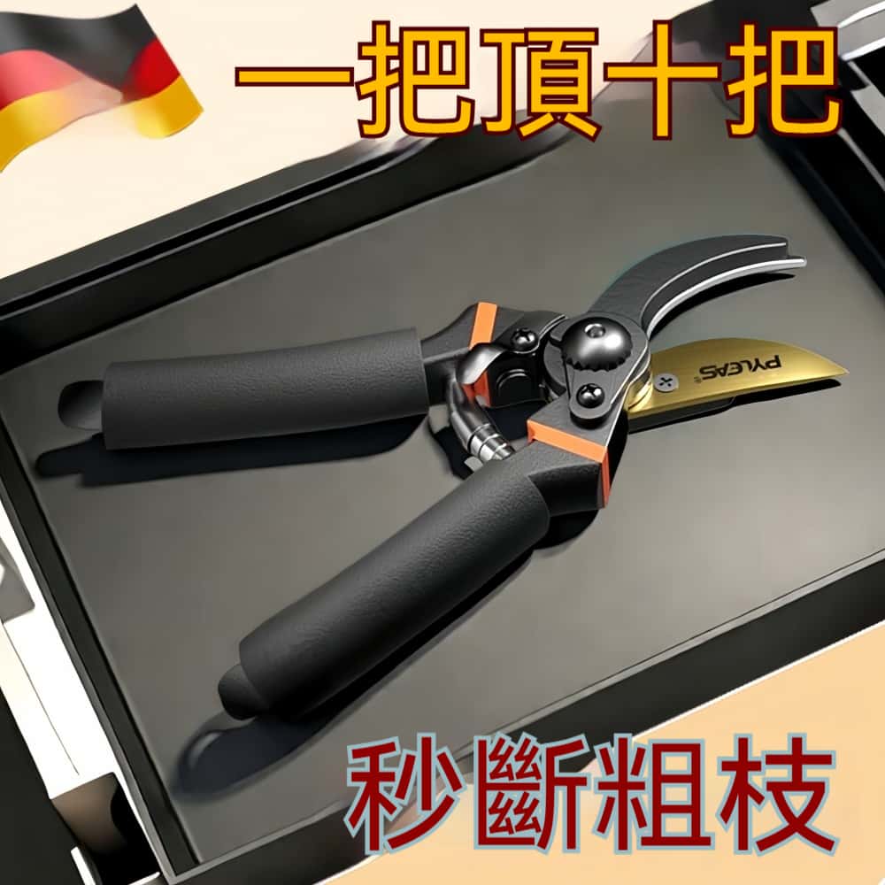 粗枝剪刀 剪樹枝 專用剪刀 修枝剪 果樹剪 員藝剪子 家用員藝工具 盆栽剪刀 果樹剪 省力修枝剪