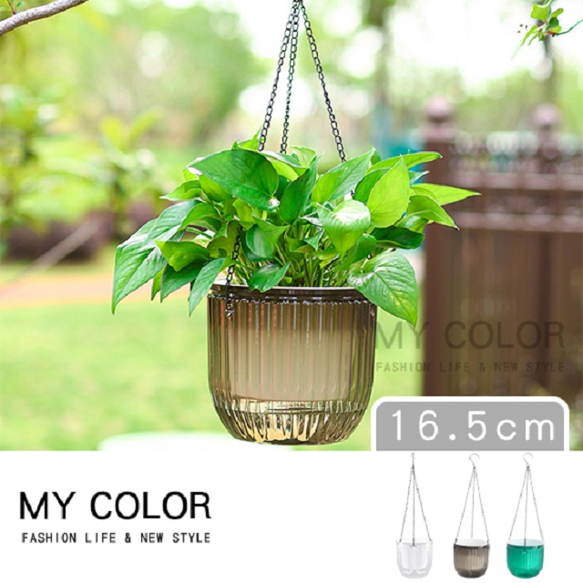 My Color 可懸掛自吸水盆栽(大) N096 - PChome 24h購物