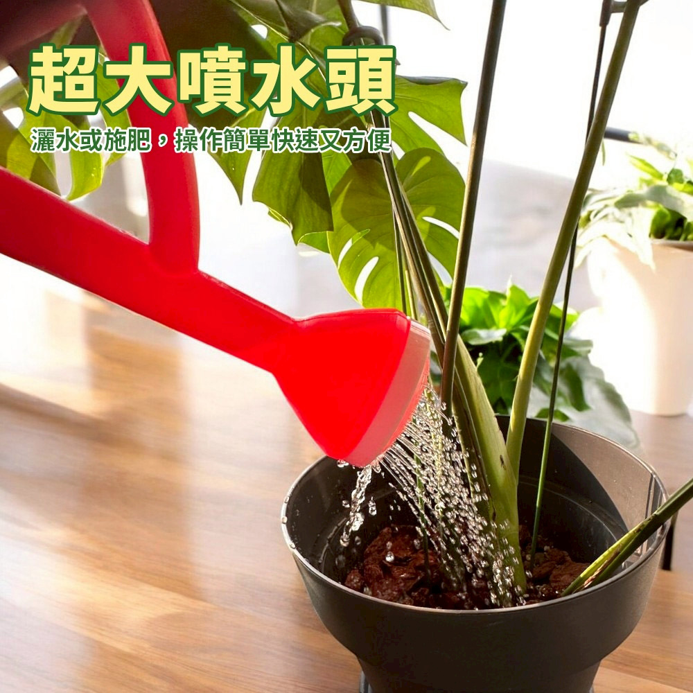 中灑水器/灑花器/澆水器-1入- PChome 24h購物