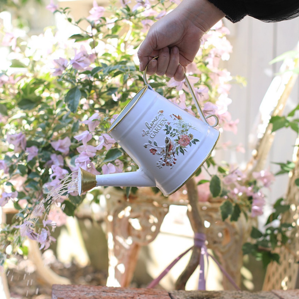 歐式澆水壺復古園藝工具鐵藝花器長嘴灑水壺家用水壺花園澆花壺庭院澆