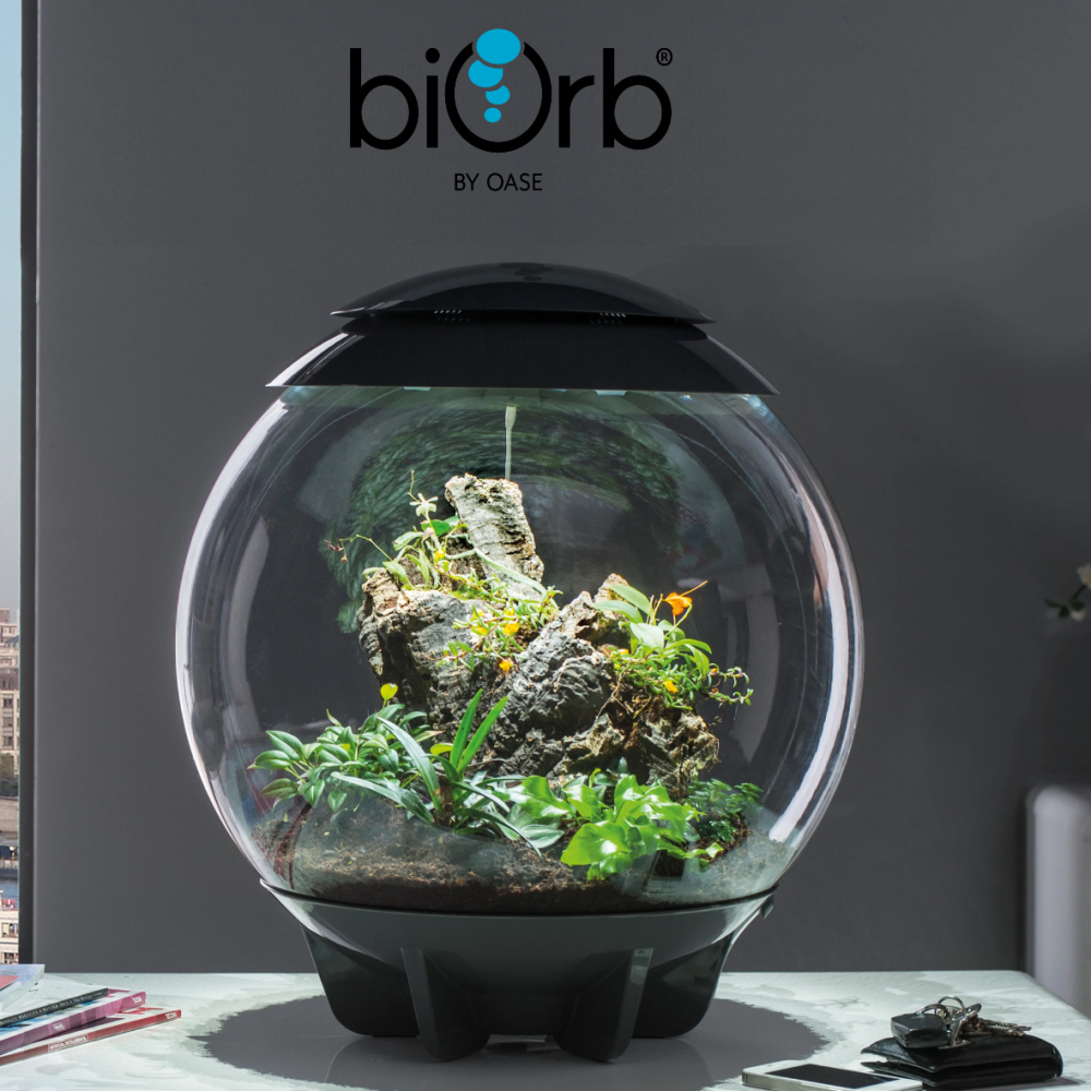 OASE 歐亞瑟biOrb AIR 嵐生態缸(60公升) - PChome 24h購物