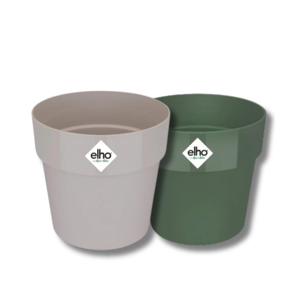 流苑　人気鉢 流苑 人気鉢 【公式通販】